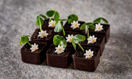 Traiteur créatif à Strasbourg - Dessert miniature - Effervescence